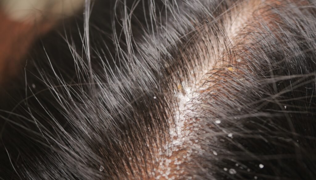 Untitled design (37)